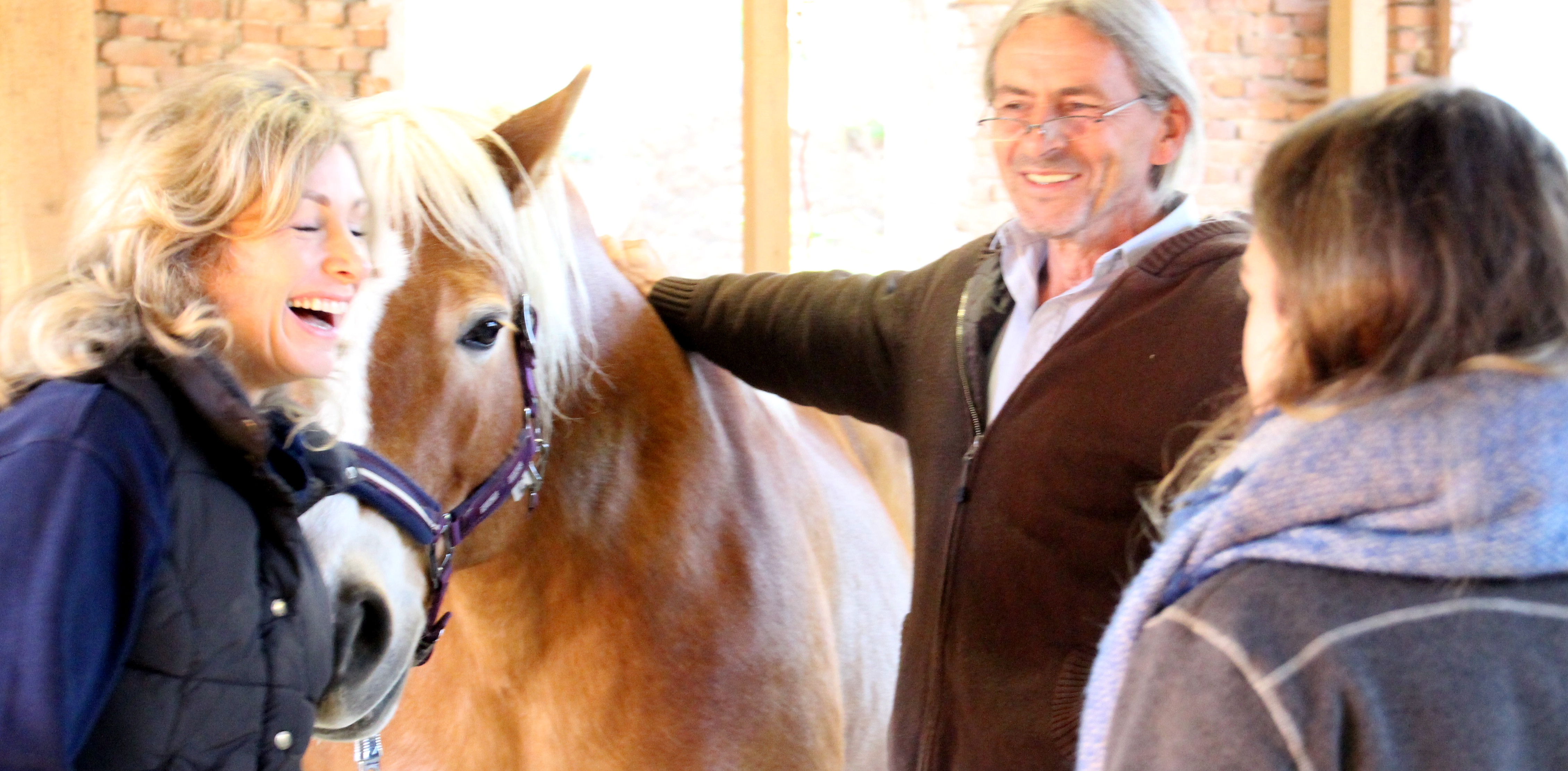 Ausbildung Horse Assisted Coach