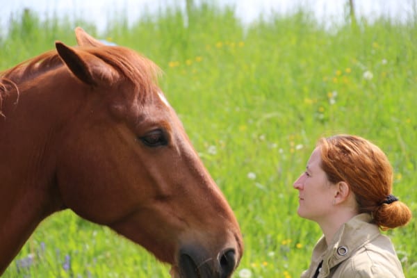 Kommunikation - Coaching mit Pferden
