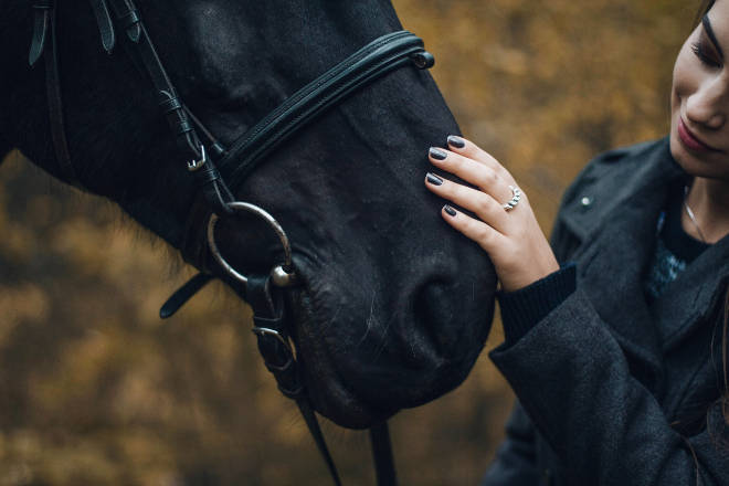 Frauenpower - Coaching mit Pferden
